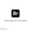 Adobe Bridge v12.0.0.234 2022 Free Download