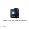 Wavelet Audio – GROTH 2021 Free Download