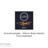 Acousticsamples – VHorns Brass Section 2021 Free Download