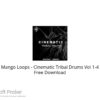 Mango Loops – Cinematic Tribal Drums Vol 1-4 Free Download
