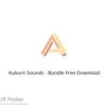 Auburn Sounds – Bundle 2022 Free Download