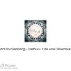 Strezov Sampling – Darbuka X3M 2022 Free Download