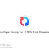 GoodSync Enterprise 11 2022 Free Download