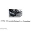 KORG – Wavestate Native 2022 Free Download