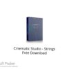 Cinematic Studio – Strings 2022 Free Download