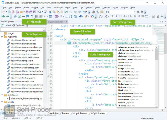 Blumentals WeBuilder 2022 Latest Version Download-Softprober.com