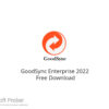GoodSync Enterprise 2022 Free Download