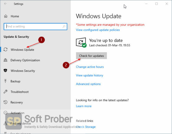 Windows 10 22H2 10in1 July 2022 Offline Installer Download-Softprober.com