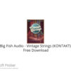 Big Fish Audio – Vintage Strings 2022 Free Download
