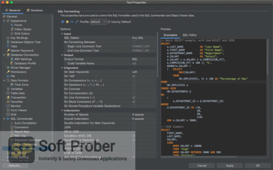 DbVisualizer Pro 14 2022 Offline Installer Download-Softprober.com