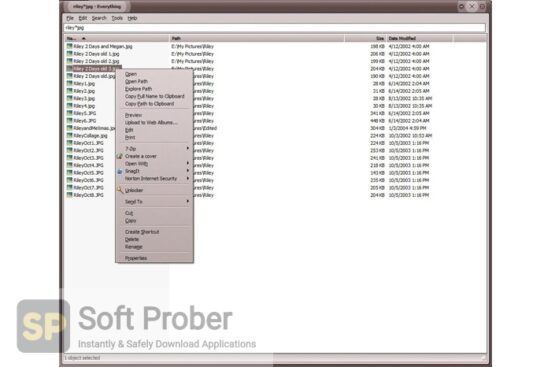 Everything 2022 Direct Link Download-Softprober.com