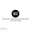 BLZ Audio – Colored Reverb Pack 2022  Free Download