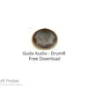 Guda Audio – DrumR 2022 Free Download