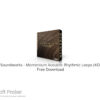 Impact Soundworks – Momentum Acoustic Rhythmic Loops 2023 Free Download