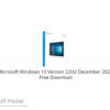 Microsoft Windows 10 Version 22H2 December 2022 Free Download
